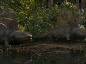 virgin forest 3D Модель