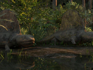 virgin forest 3D Model