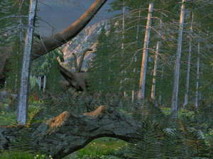 virgin forest 3Dモデル