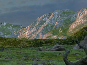 virgin forest 3D Model