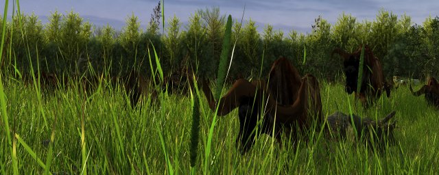 bison herd 3D Model .c4d .max .obj .3ds .fbx .stl .blend 