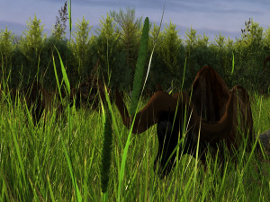 bison herd 3Dモデル