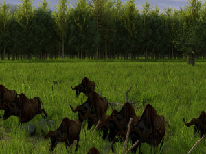bison herd 3D Model