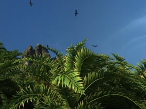 virgin forest Modèle 3D