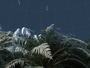 virgin forest Modèle 3D