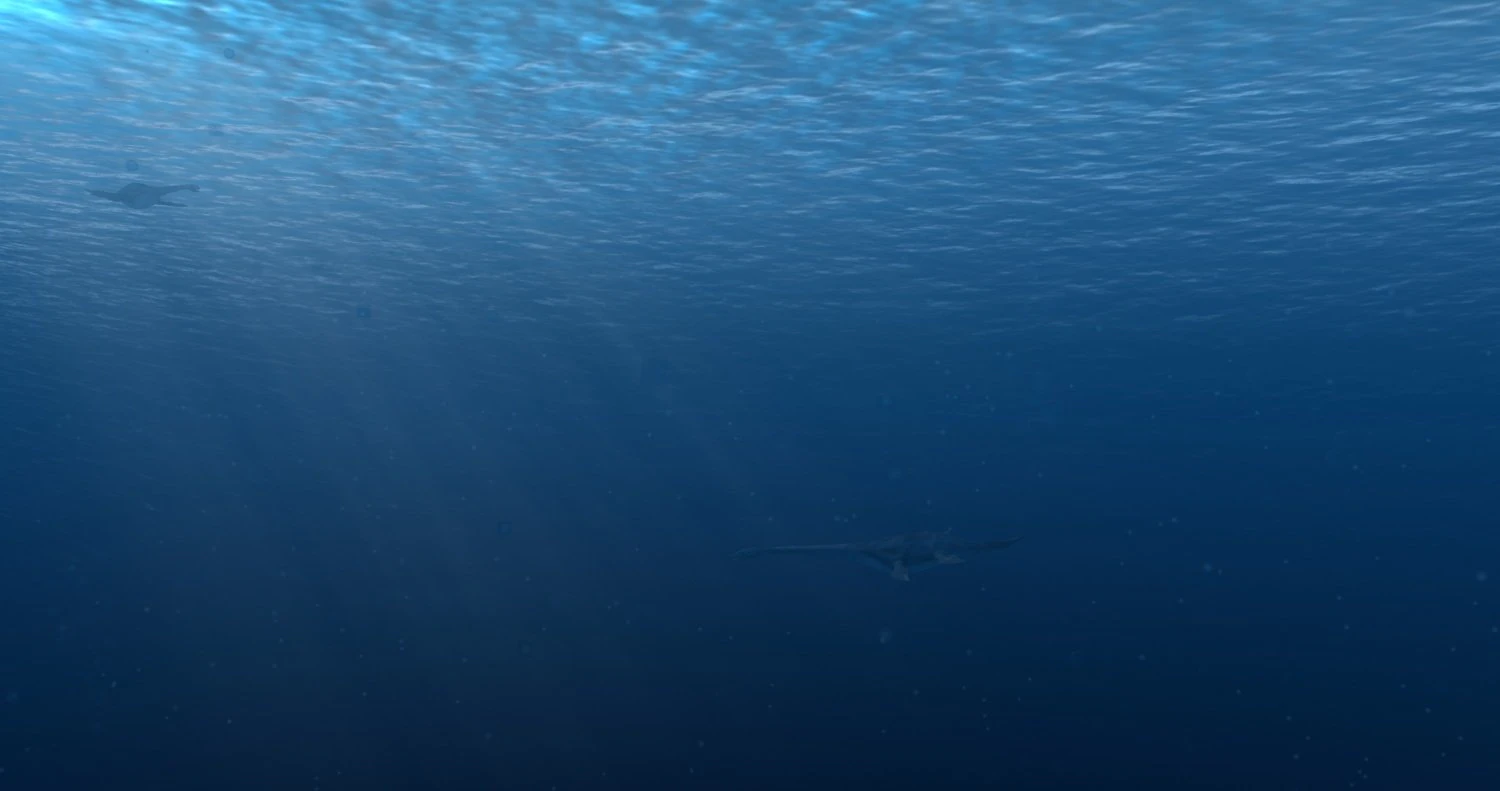 seabed 3D Model .c4d .max .obj .3ds .fbx .stl .blend 