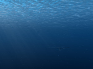 seabed 3D Model