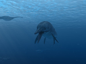 seabed 3D 模型