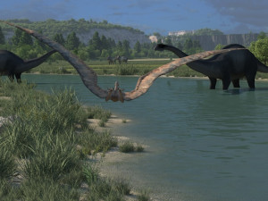 virgin forest 3Dモデル
