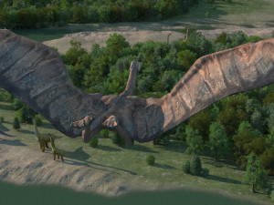 virgin forest 3D Модель