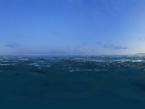 island Model 3D
