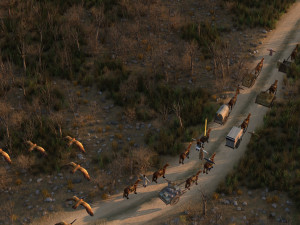 wild path Model 3D