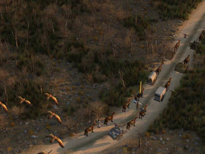 camino salvaje Modelo 3D