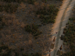 wild path 3D Модель