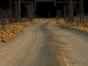 wild path 3D Модель