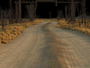 wild path 3D Model