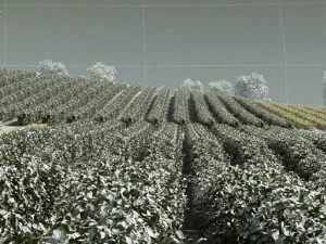 farmland 3D Model