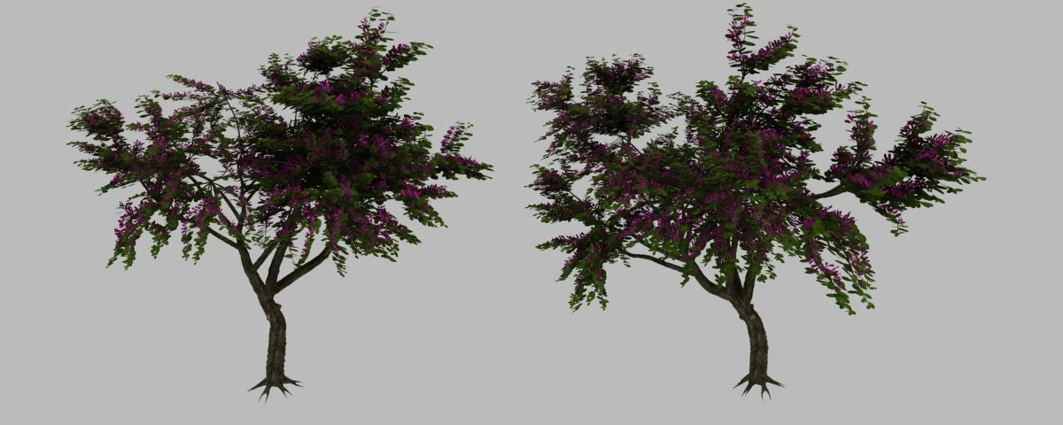bauhinia tree 3D Model .c4d .max .obj .3ds .fbx .stl .blend 