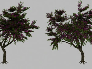 дерево баухиния 3D Модель