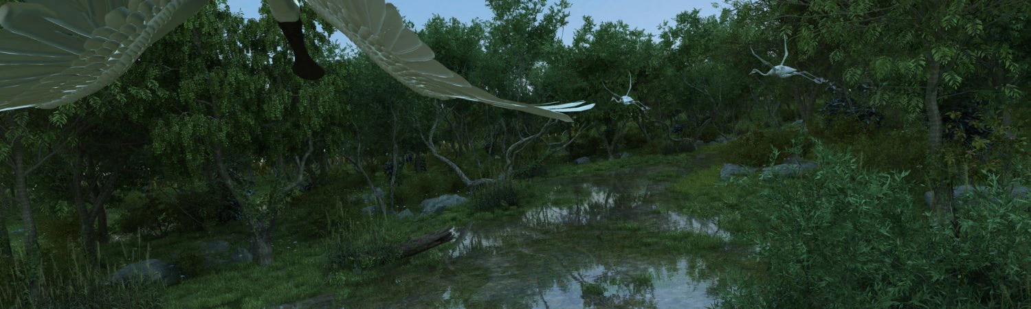 wetlands 3D Model .c4d .max .obj .3ds .fbx .stl .blend 