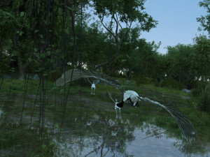 wetlands 3D Модель