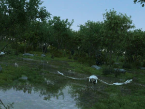 wetlands 3D Model