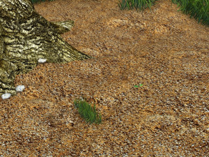 eagle 3D Model