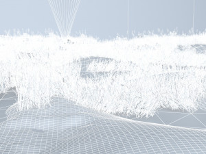 eagle 3D Model