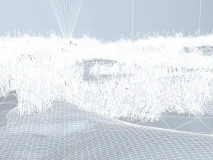 eagle 3D Model