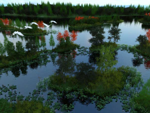 tereny podmokłe Model 3D