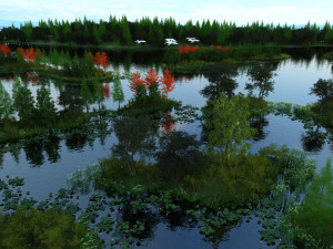 wetlands 3D Model