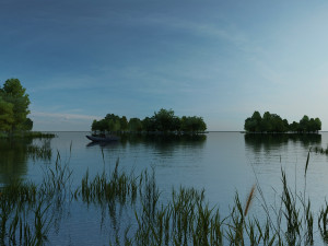 wetlands 3D Model