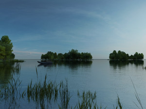 wetlands 3D Model