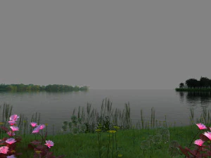 водно-болотные угодья 3D Модель