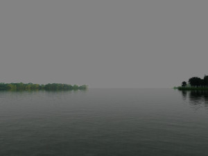 wetlands 3D Model