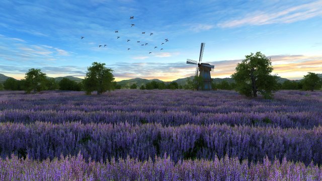 flower field 3D Model .c4d .max .obj .3ds .fbx .stl .blend 