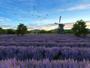 &ccedil;i&ccedil;ek tarlası 3D Model