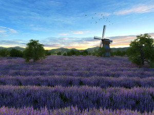 flower field 3D Model
