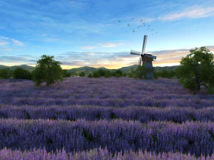 flower field 3D Model