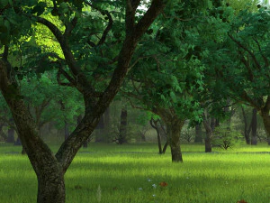 शाहबलूत का पेड़ 3D मॉडल