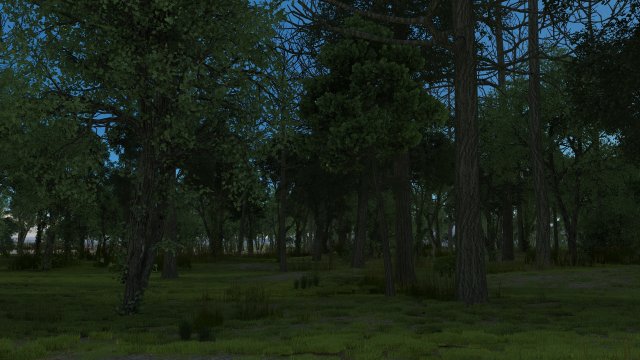 forest 3D Модель .c4d .max .obj .3ds .fbx .stl .blend