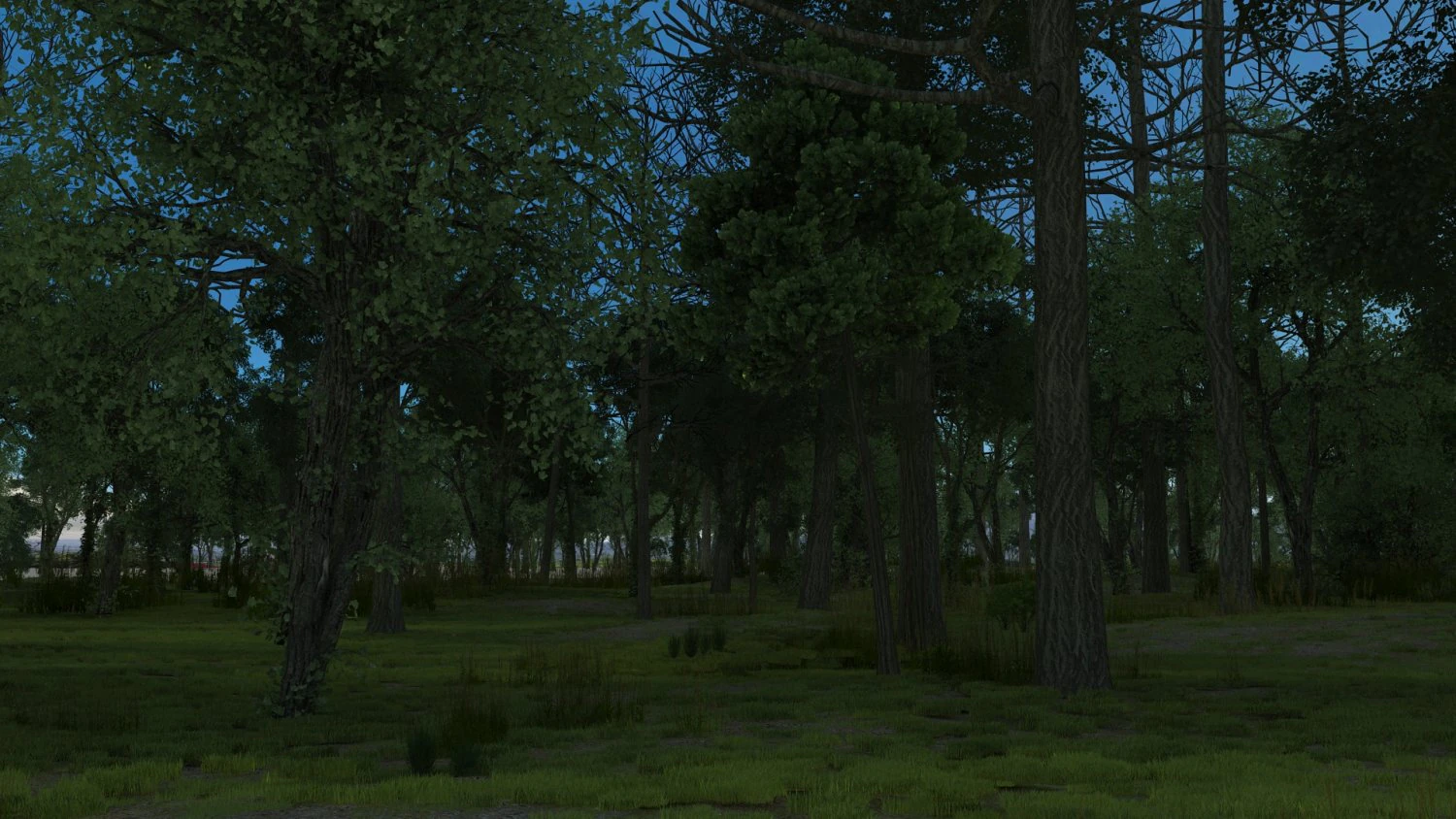 forest 3D Model .c4d .max .obj .3ds .fbx .stl .blend 
