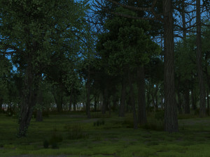 forest 3Dモデル
