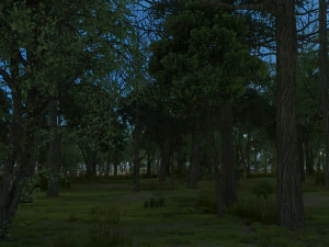 forest 3D Model