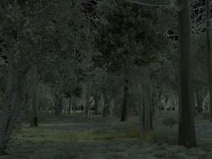 forest 3D Model