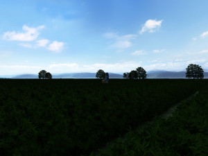 tea garden 3D Model