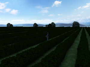 tea garden Modelo 3D
