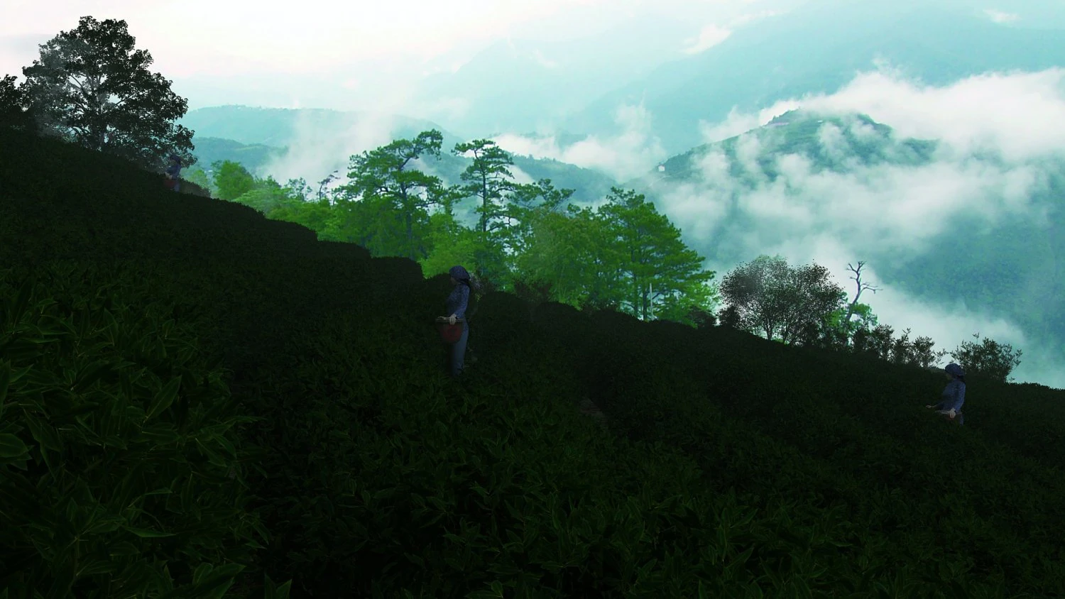 tea garden 3D Model .c4d .max .obj .3ds .fbx .stl .blend 