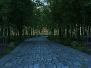 bamboo forest 3D Model
