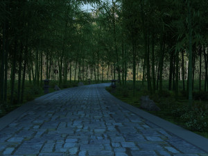 bamboo forest 3D Model